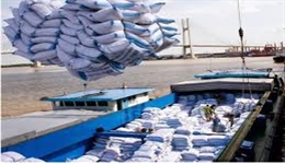 Các trường hợp không cần tờ khai hải quan,các trường hợp không áp dụng mức thuế suất 0% đối với doanh nghiệp chế xuất