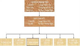 Cơ Cấu Tổ Chức